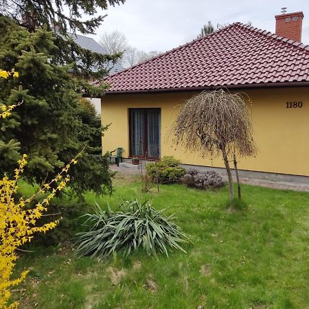 Zielone Buki Lägenhet Buczkowice Exteriör bild